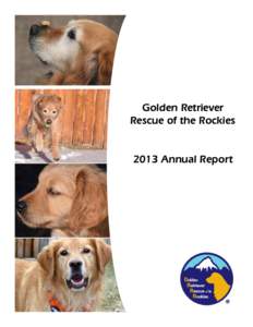 Golden Retriever Rescue of the Rockies 2013 Annual Report 2014 continued to provide excitement and challenges as GRRR evolved and settled into its Phoebe’s Place home. Our fabulous