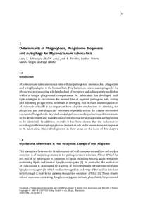 j1  1 Determinants of Phagocytosis, Phagosome Biogenesis and Autophagy for Mycobacterium tuberculosis Larry S. Schlesinger, Abul K. Azad, Jordi B. Torrelles, Esteban Roberts,