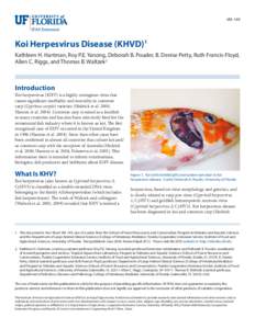 VM-149  Koi Herpesvirus Disease (KHVD)1 Kathleen H. Hartman, Roy P.E. Yanong, Deborah B. Pouder, B. Denise Petty, Ruth Francis-Floyd, Allen C. Riggs, and Thomas B. Waltzek2