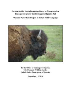 Petition to List the Yellowstone Bison as Threatened or Endangered Under the Endangered Species Act Western Watersheds Project & Buffalo Field Campaign In the Office of Endangered Species U.S. Fish and Wildlife Service