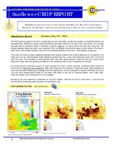 NATIONAL SUNFLOWER ASSOCIATION OF CANADA  Sunflower CROP REPORT “Rainfall amounts vary between 50 to 150 mm from May 21 to May 30 across Southern Manitoba. Locally higher, with numerous reports of up to 200 mm of accum