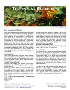 Eudicots / Flora of North America / Botany / Bird food plants / Ice plant / Chaparral / Frangula californica / Iva hayesiana / Dudleya / Cylindropuntia / Malosma / Shrub