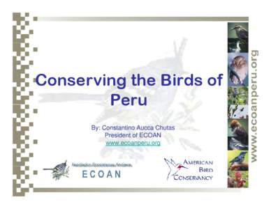 Conserving the Birds of Peru By: Constantino Aucca Chutas President of ECOAN www.ecoanperu.org