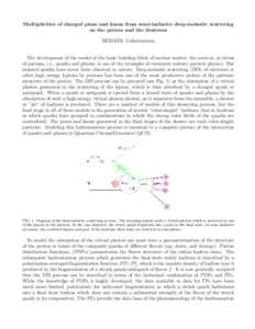 Multiplicities of charged pions and kaons from semi-inclusive deep-inelastic scattering on the proton and the deuteron HERMES Collaboration The development of the model of the basic building block of nuclear matter, the 