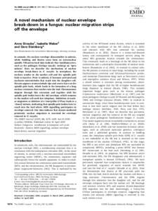 The EMBO Journal, 1674–1685 www.embojournal.org |&  2005 European Molecular Biology Organization | All Rights Reserved