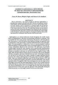 BULLETIN OF MARINE SCIENCE, 76(3): 699–714, 2005  NEW TAXA PAPER