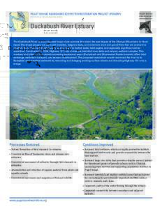 PUGET SOUND NEARSHORE ECOSYSTEM RESTORATION PROJECT (PSNERP) POTENTIAL RESTORATION SITES Duckabush River Estuary  IMAGE: Washington State Department of Ecology (2006)