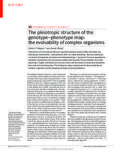 The pleiotropic structure of the genotype–phenotype map: the evolvability of complex organisms