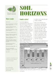 Soil Horizons Newsletter, Issue 4, January 2000