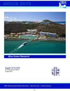      Blue Ocean Research   