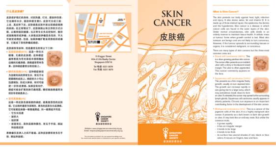 Skin CANCER HUB SYNERGY POINT