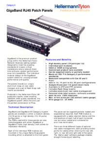 Category 6  GigaBand RJ45 Patch Panels GigaBand is the premium product group within the HellermannTyton