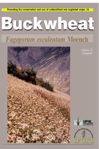 Buckwheat / Agriculture / Polygonum / Istituto di Genetica Vegetale / Botany / Underutilized crop / Plant breeding / Polygonaceae / Biology / Fagopyrum