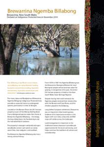 Brewarrina Ngemba Billabong  Brewarrina, New South Wales “Our billabong is significant to our culture, our wellbeing, our value, Baiame’s healing,