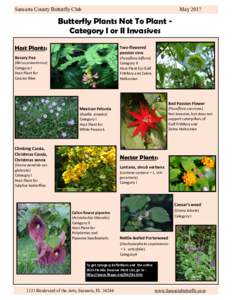 Sarasota County Butterfly Club  May 2017 Butterfly Plants Not To Plant Category I or II Invasives Host Plants: