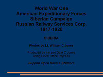 World War One American Expeditionary Forces Siberian Campaign