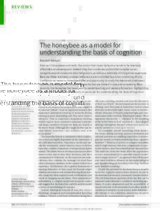 REVIEWS  The honeybee as a model for understanding the basis of cognition Randolf Menzel