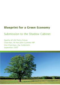 Blueprint for a Green Economy Submission to the Shadow Cabinet Quality of Life Policy Group Chairman, Rt Hon John Gummer MP Vice-Chairman, Zac Goldsmith September 2007