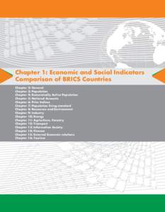 Chapter 1: Economic and Social Indicators Comparison of BRICS Countries Chapter 2: General Chapter 3: Population Chapter 4: Economically Active Population Chapter 5: National Accounts