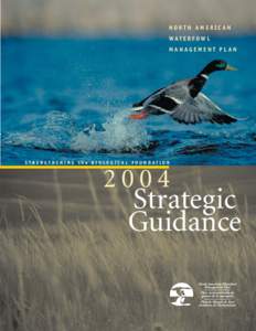 NORTH AMERICAN WATERFOWL MANAGEMENT PLAN STRENGTHENING the BIOLOGICAL FOUNDATION