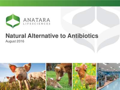 Natural Alternative to Antibiotics August 2016 Disclaimer The information in this presentation does not constitute personal investment advice. The presentation is not intended to be comprehensive or provide all informat
