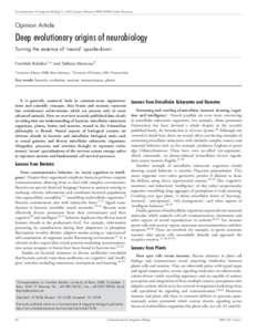 Deep evolutionary origin of neurobiology [Communicative & Integrative Biology 2:1, 60-65; January/February 2009]; ©2009 Landes Bioscience  Opinion Article