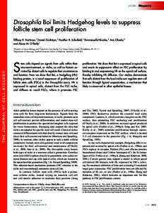 JCB: Report  Drosophila Boi limits Hedgehog levels to suppress follicle stem cell proliferation Tiffiney R. Hartman,1 Daniel Zinshteyn,1 Heather K. Schofield,1 Emmanuelle Nicolas,2 Ami Okada,3 and Alana M. O’Reilly1