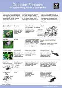 Creature Features  for overwintering wildlife in your garden When winter arrives nature shuts down. All sorts of garden animals, such as hedgehogs, newts, frogs