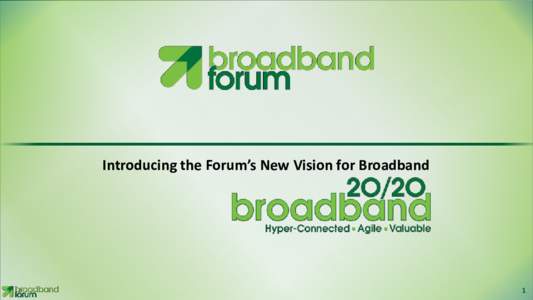 Introducing the Forum’s New Vision for Broadband  11 Introduction •