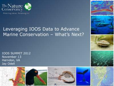 Leveraging IOOS Data to Advance Marine Conservation – What’s Next? IOOS SUMMIT 2012 November 13 Herndon, VA