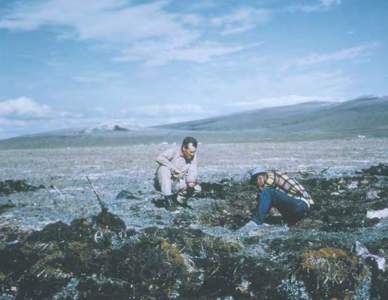 38  Pioneer Arctic Archeologist J. Louis Giddings