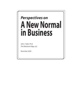 Perspectives on  A New Normal in Business John I. Todor, Ph.D. The Whetstone Edge, LLC