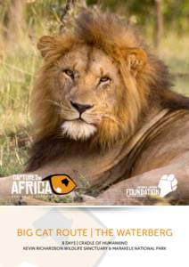 BIG CAT ROUTE | THE WATERBERG 8 DAYS | CRADLE OF HUMANKIND KEVIN RICHARDSON WILDLIFE SANCTUARY & MARAKELE NATIONAL PARK Price from: •	 US $3, 895 | R52, 180 per person sharing