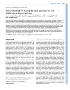 RESEARCH ARTICLE 3539 Development 134, doi:devPattern formation during de novo assembly of the Arabidopsis shoot meristem Sean P. Gordon1, Marcus G. Heisler1, G. Venugopala Reddy1,2, Caro