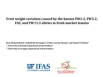 Fruit weight variation caused by the known FW2.2, FW3.2, FAS, and FW11.3 alleles in fresh market tomato Reza Shekasteband1, Eudald Illa Berenguer2, Esther van der Knaap2, and Samuel F Hutton1 1. University of Florida Dep