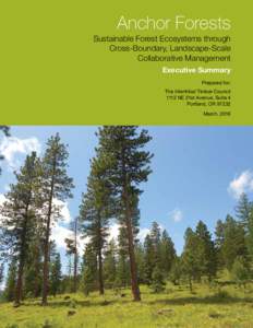 Anchor Forests Sustainable Forest Ecosystems through Cross-Boundary, Landscape-Scale Collaborative Management Executive Summary Prepared for: