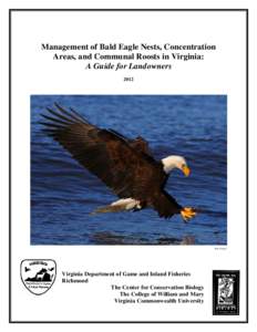 Management of Bald Eagle Nests, Concentration Areas, and Communal Roosts in Virginia: A Guide for LandownersKen Conger