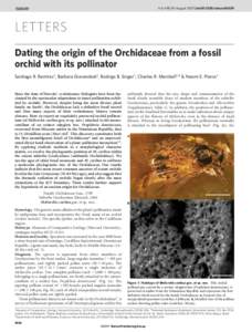 Vol 448 | 30 August 2007 | doi:[removed]nature06039  LETTERS Dating the origin of the Orchidaceae from a fossil orchid with its pollinator Santiago R. Ramı´rez1, Barbara Gravendeel2, Rodrigo B. Singer3, Charles R. Marsh