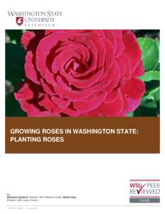 GROWING ROSES IN WASHINGTON STATE: PLANTING ROSES By Marianne Ophardt, Director, WSU Benton County, Sheila Gray, Director, WSU Lewis County