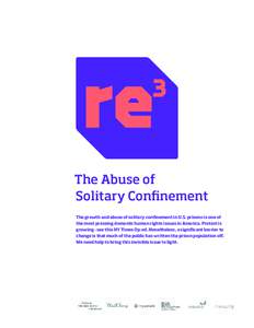 The Abuse of Solitary Confinement The growth and abuse of solitary confinement in U.S. prisons is one of the most pressing domestic human rights issues in America. Protest is growing - see this NY Times Op-ed. Nonetheles