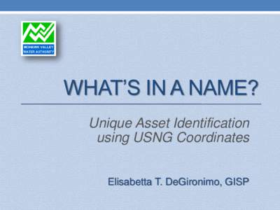 WHAT’S IN A NAME? Unique Asset Identification using USNG Coordinates Elisabetta T. DeGironimo, GISP  PROJECT BACKGROUND