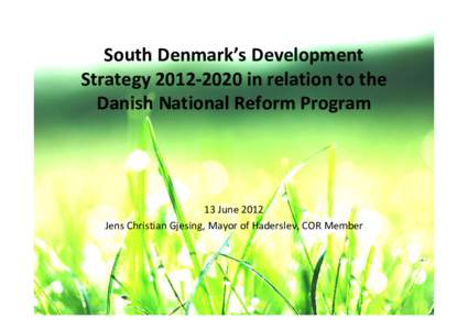 South Denmark’s Business Development Strategy[removed]in Relation to the Danish National Refrom Program