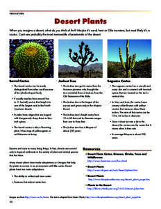 resources  Desert Plants When you imagine a desert, what do you think of first? Maybe it’s sand, heat or Gila monsters, but most likely it’s a cactus. Cacti are probably the most memorable characteristic of the deser