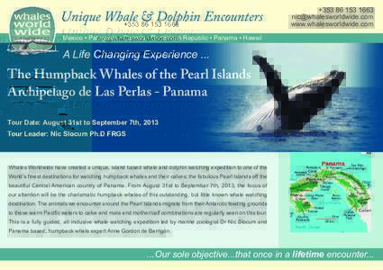 Unique Whale & Dolphin Encounters  +www.whalesworldwide.com