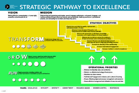 Strategic Pathway to Excellence Map