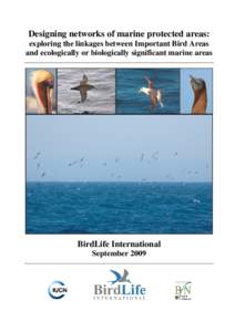 Designing networks of marine protected areas: exploring the linkages between Important Bird Areas and ecologically or biologically significant marine areas BirdLife International September 2009