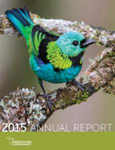 2015 ANNUAL REPORT  American Bird Conservancy is the Western Hemisphere’s bird conservation specialist—the only organization with a single and steadfast commitment to achieving conservation results for birds and the