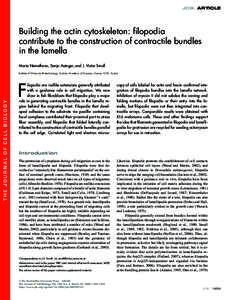 JCB: ARTICLE  Building the actin cytoskeleton: ﬁlopodia contribute to the construction of contractile bundles in the lamella Maria Nemethova, Sonja Auinger, and J. Victor Small