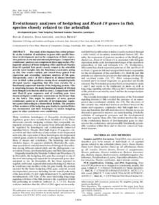 Proc. Natl. Acad. Sci. USA Vol. 93, pp–13041, November 1996 Evolution Evolutionary analyses of hedgehog and Hoxd-10 genes in fish species closely related to the zebrafish