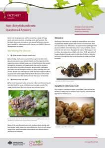 FACTSHEET June 2014 Non–Botrytis bunch rots: Questions & Answers Bunch rots on grapevines can be caused by a range of fungi,